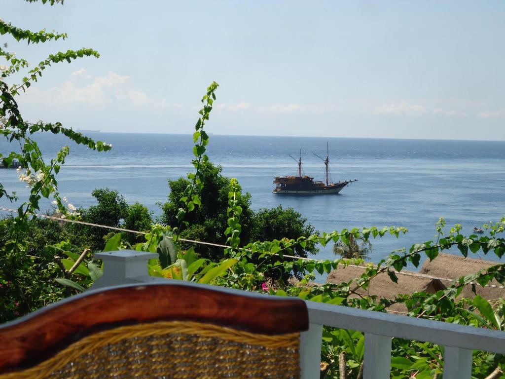 Taman liburan Baliku Dive Amed (Bali)