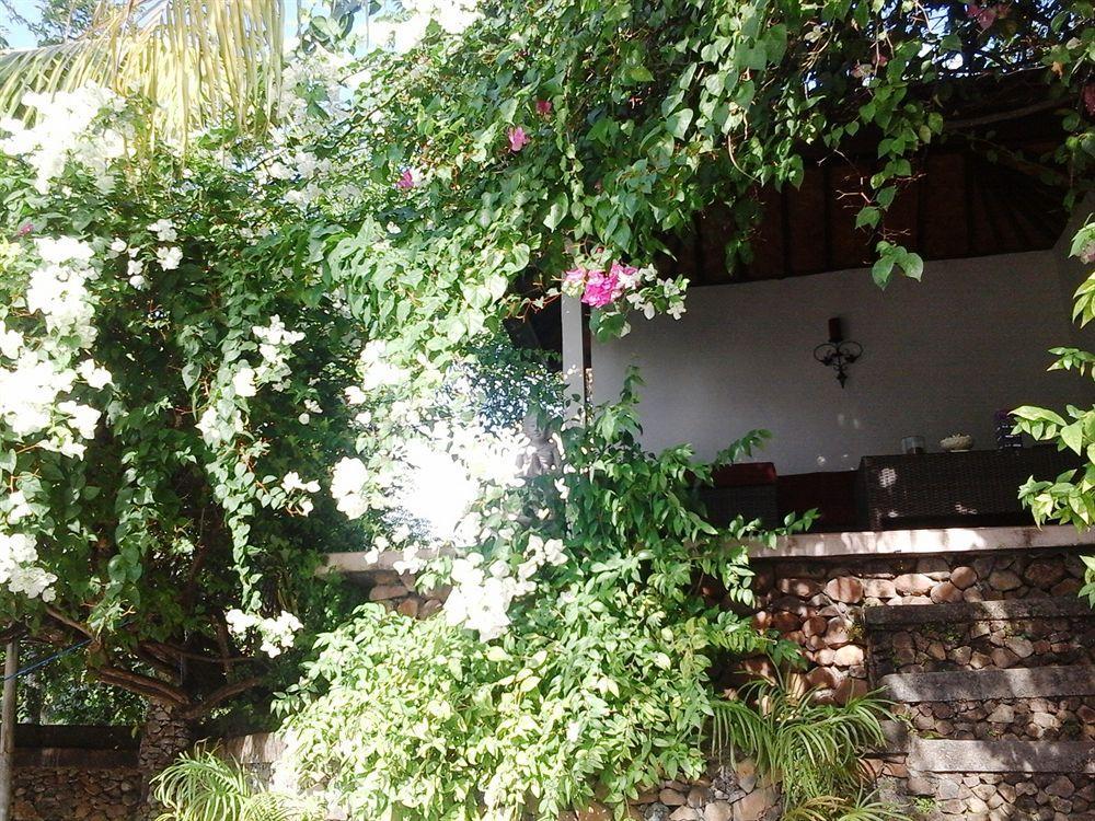 Baliku Dive Village de vacances